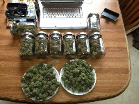 042 Bud Stash 112413-018 042 Bud Stash 112413-018