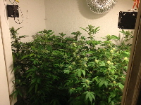 SBC&Querkle_20161114 035
