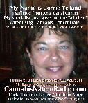 Cannabis Cures Cancer Cannabis Cures Cancer