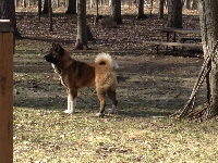 Handsome 4-20-15 028