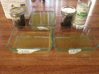 200 proof left-192 proof right 3-24-15 025 200 proof left-192 proof right 3-24-15 025