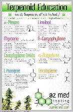 Terpenoid Education