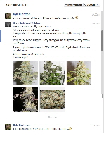 KK_SC_fb_confirmation KK_SC_fb_confirmation