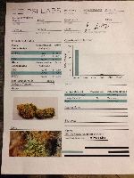 Querkle Lab Test - 12-11-15